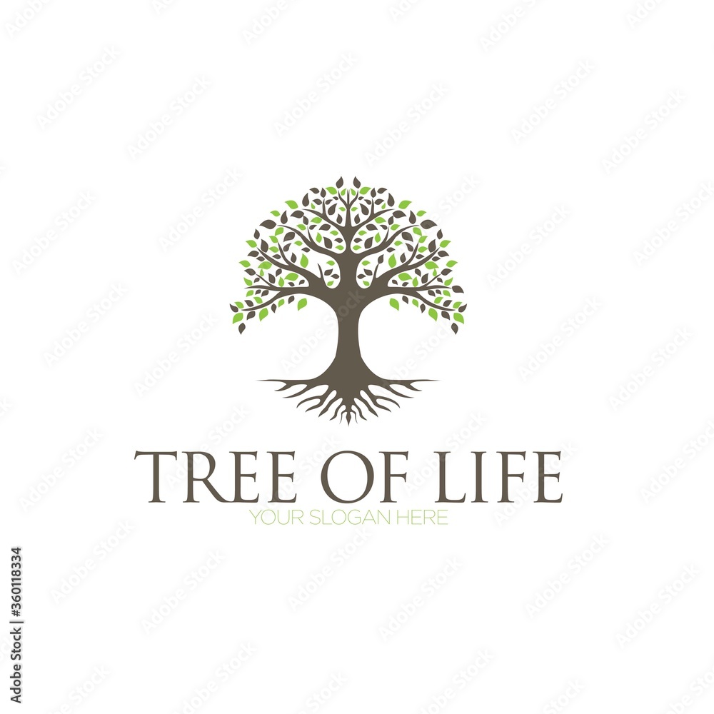 Fototapeta premium Tree of Life, oak banyan leaf and root seal emblem stamp logo design inspiration