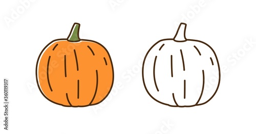 Set of natural colorful and outline monochrome pumpkin vector illustration. S...