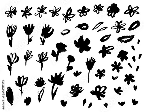 Hand drawn black ink flower set. Grunge dry paint rough brush strokes. Monochrome floral elements © Marina