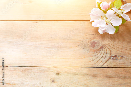 White Apple flowers and petals on a wooden background. The concept of eco-style, a celebration of spring, tenderness, love, women's health, sauna and Spa treatments, wedding in the summer. Space for t