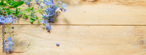 Blue small forget-me-nots flowers on a wooden background. The concept of eco style  natural texture. Space for text. Flatlay