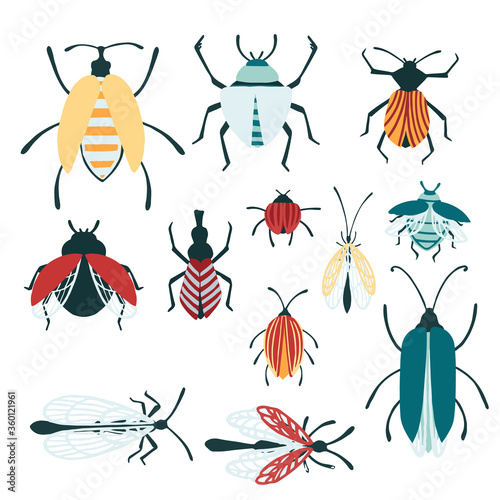 Set of cartoon simple beetle collection colored different insects flat vector illustration isolated on white background © An-Maler