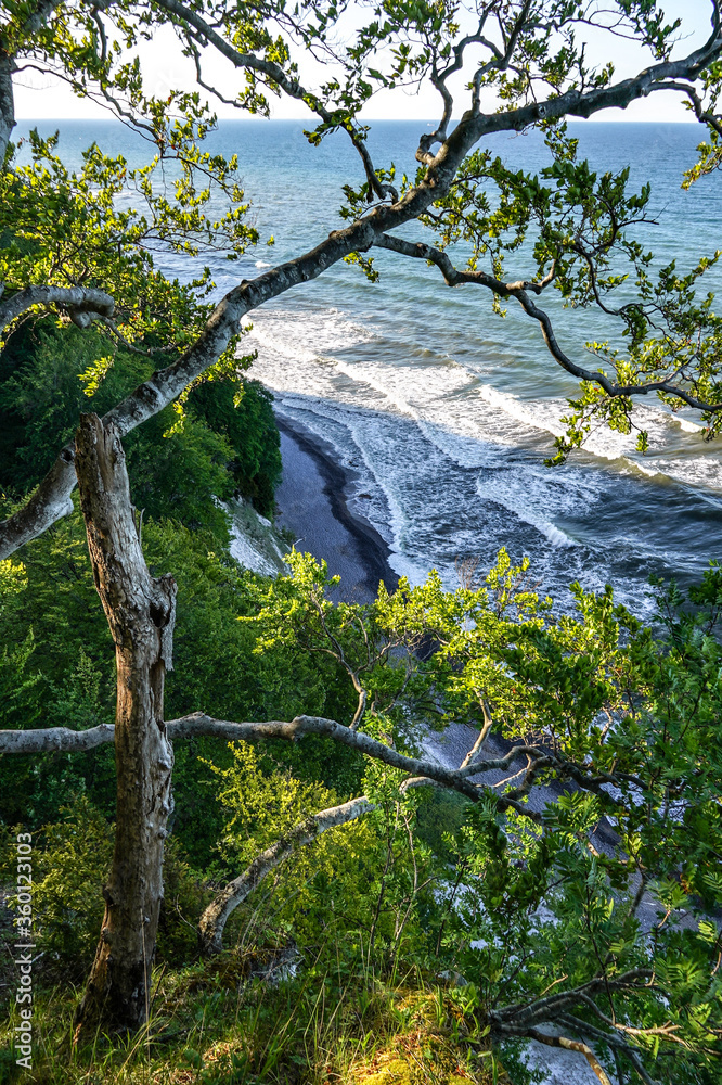 Fototapeta premium Nationalpark Jasmund auf Rügen