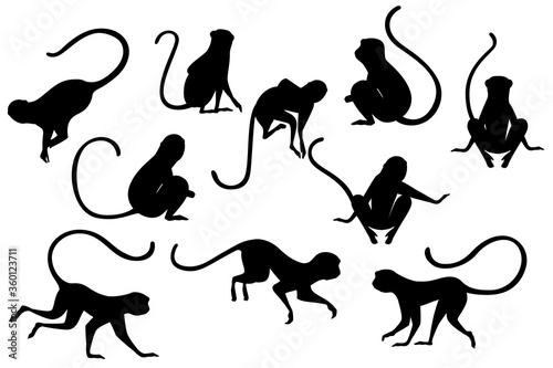 Black silhouette set of cute vervet monkey cartoon animal design flat vector illustration isolated on white background