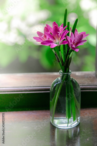 Принти на полотні a bouquet of crocuses in a glass of purple, haze, fuzziness, fog, blur