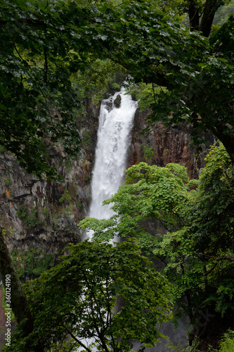 華厳の滝 © ikeyama