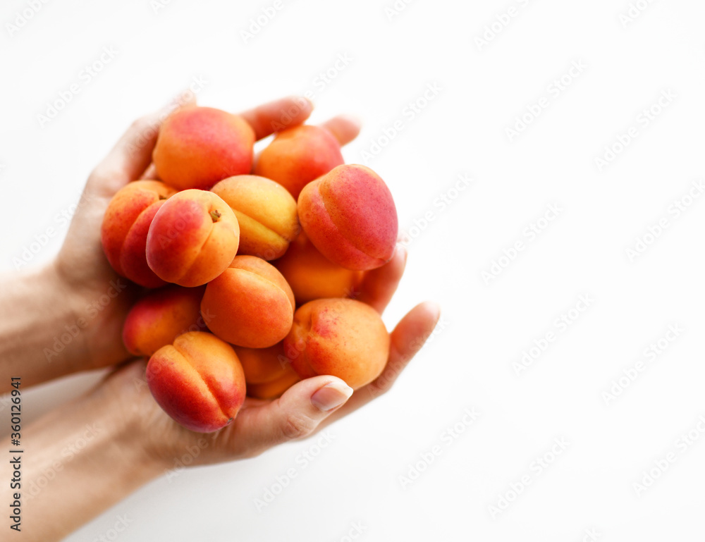 Woman hands holds full palms of fresh sweet apricots on white background. Organic superfood concept for healthy eating Woman hands holds full palms of fresh sweet apricots on white background. Organic superfood concept for healthy eating