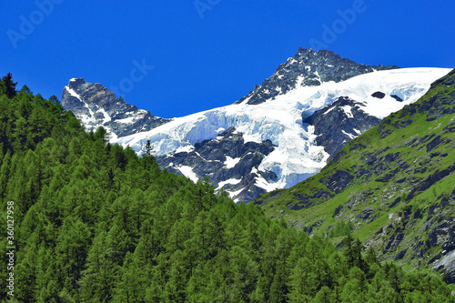 summer season snow mountain in the middle of green forest mountain with clear dark blue sky view from Tasch city in Switzland