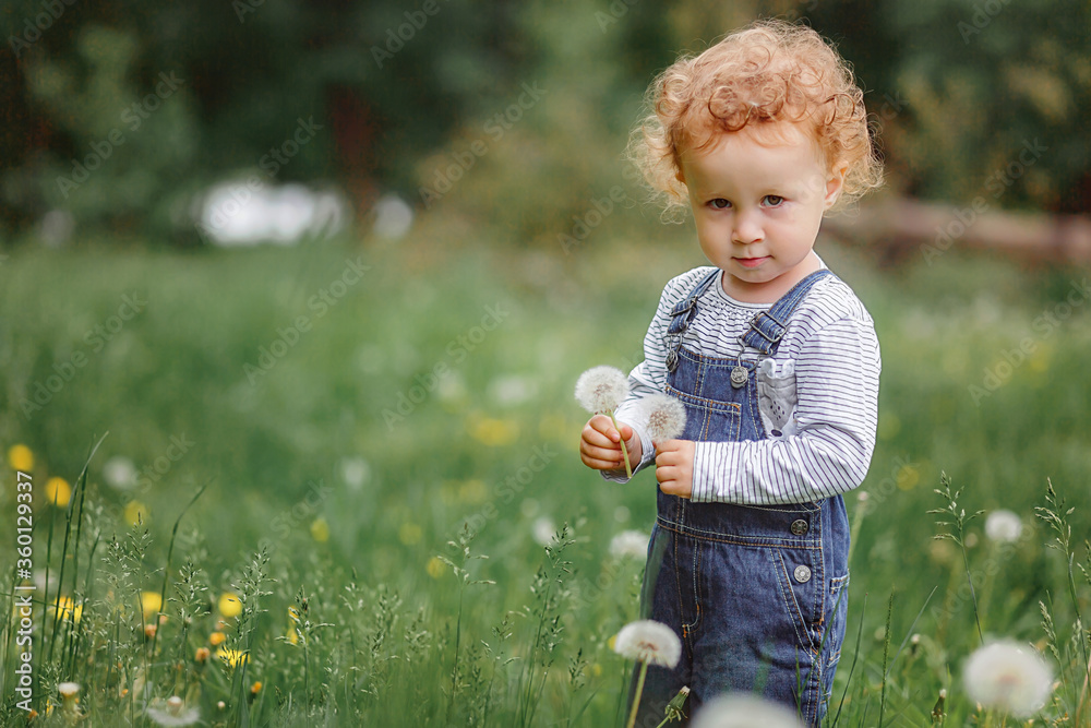 Little curly girl with dandelions Little curly girl with dandelions