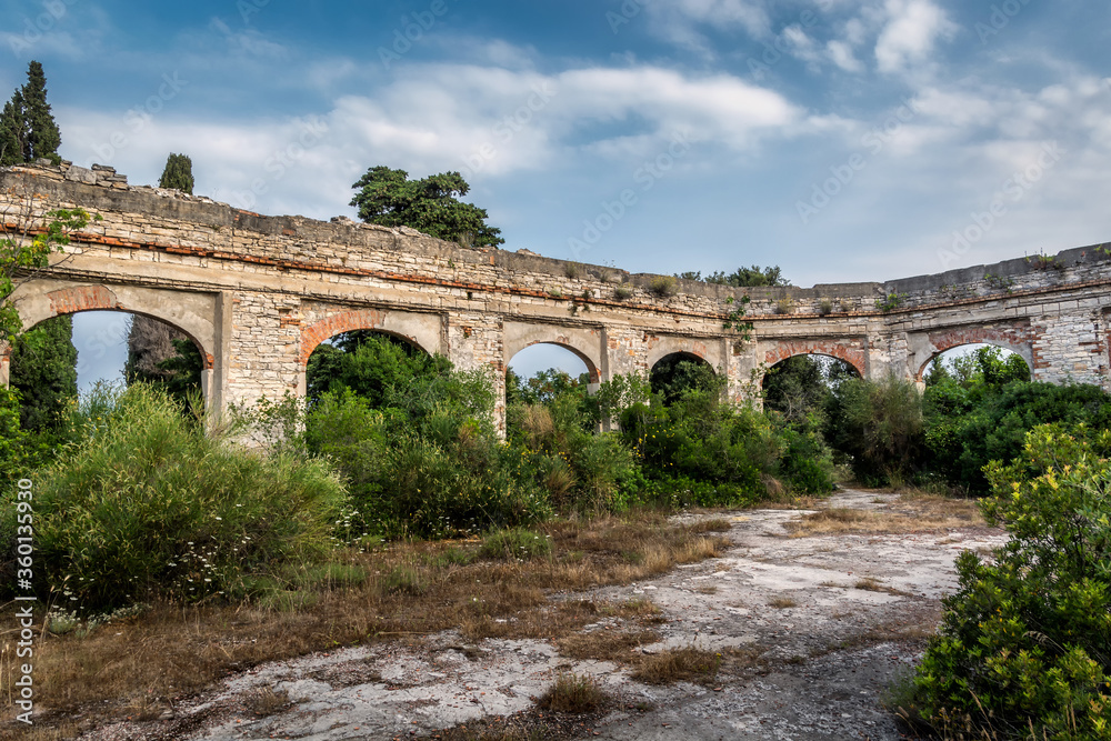 Vegetation growing in old abandoned historical building in ruins in Istra, Croatia