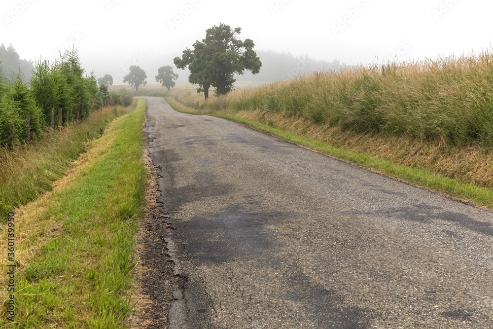Country road on a misty. Morning fog on the asphalt country road. Traveling in the morning. Danger on the road.