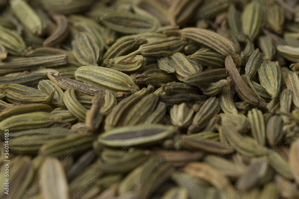 close up fennel seed texture background. close up fennel seed texture background.