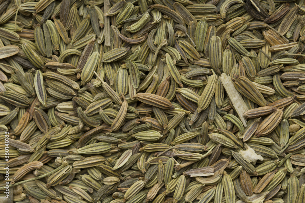 fennel seeds macro background. close up , top view