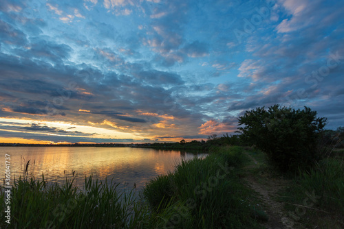 Sunset on the lake, with a path along the shore, a tree by the water and reeds in the foreground