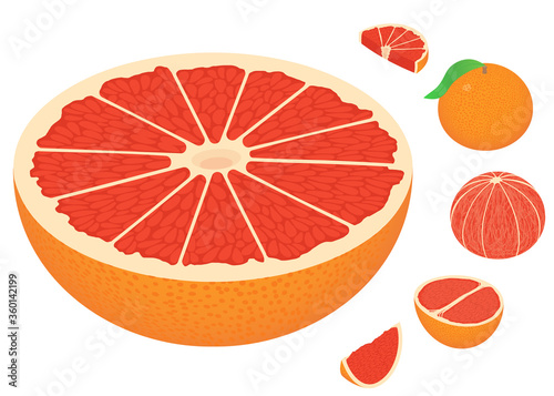 Grapefruit icons set. Isometric set of grapefruit vector icons for web design isolated on white background