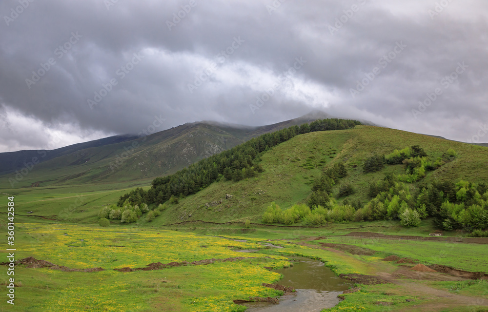 Obraz premium green trees mountain under dark sky