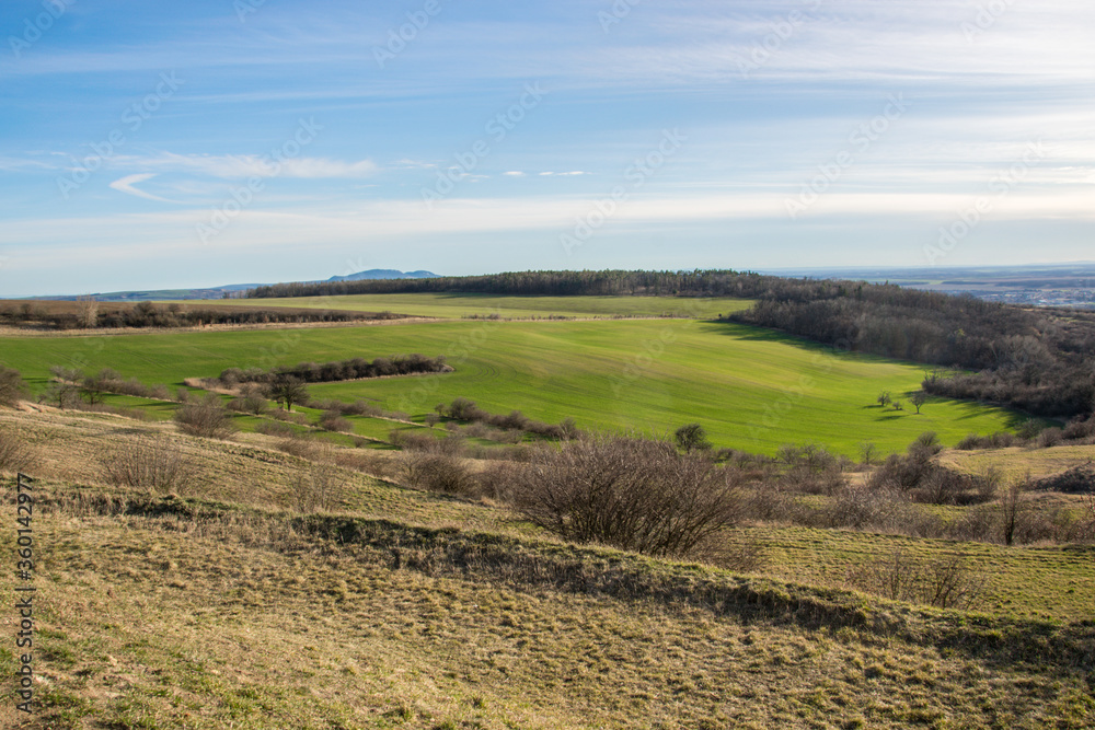 View of a spring green field and the surrounding landscape in the Czech Republic