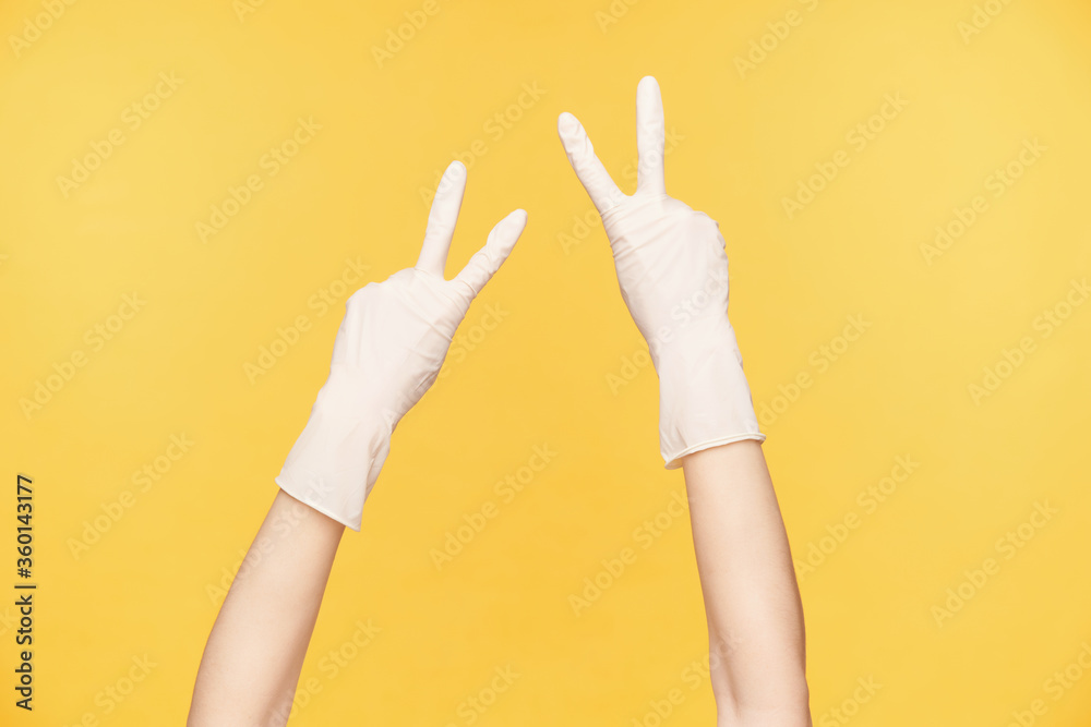 Studio photo of young female's hands in rubber gloves showing four fingers while demonstrating victory gestures, isolated against orange background Studio photo of young female's hands in rubber gloves showing four fingers while demonstrating victory gestures, isolated against orange background