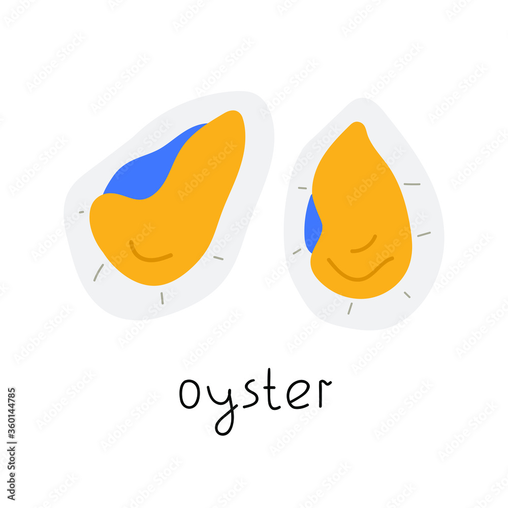 Oyster. Vector illustration on white background. Oyster. Vector illustration on white background.
