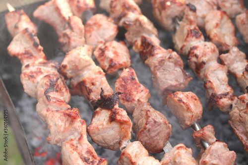 Cooking meat on skewers in barbecue on picnic