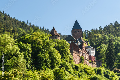 Zwingenberg Castle in Neckar Valley, Germany