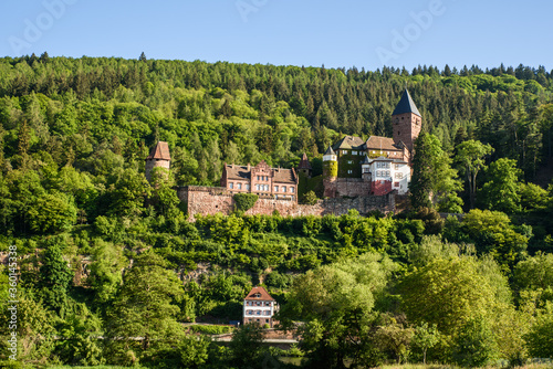Zwingenberg Castle in Neckar Valley, Germany