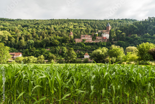 Zwingenberg Castle in Neckar Valley, Germany