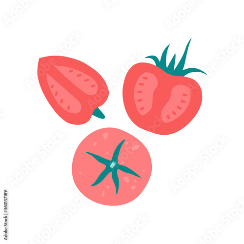 Set of fresh and slice tomato, organic vegetables. Vector illustration flat cartoon style on isolated white background.