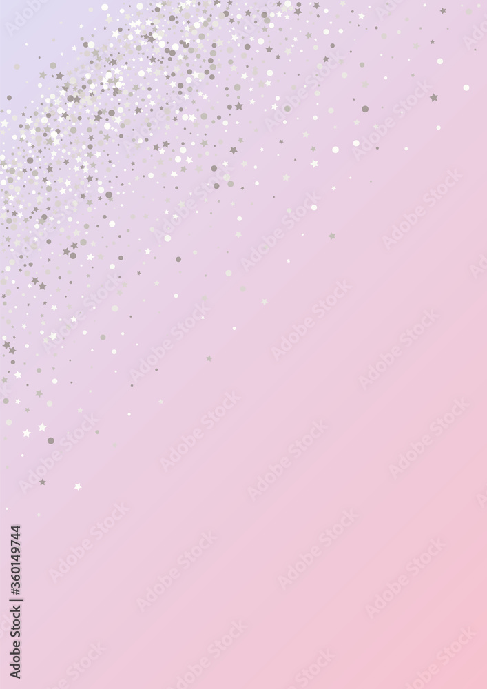 Silver Round Bridal Pink Background. Shiny Sequin 