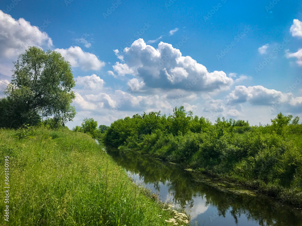 Summer nature river landscape. River grass summer view. Summer green river scene Summer nature river landscape. River grass summer view. Summer green river scene