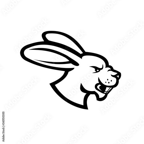 Angry Jackrabbit Hare Rabbit Head Side View Mascot Black and White