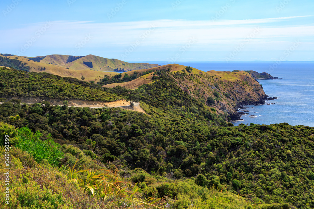 Coastal landscape in the remote far north of the Coromandel Peninsula, New Zealand, between Port Jackson and Fletcher Bay