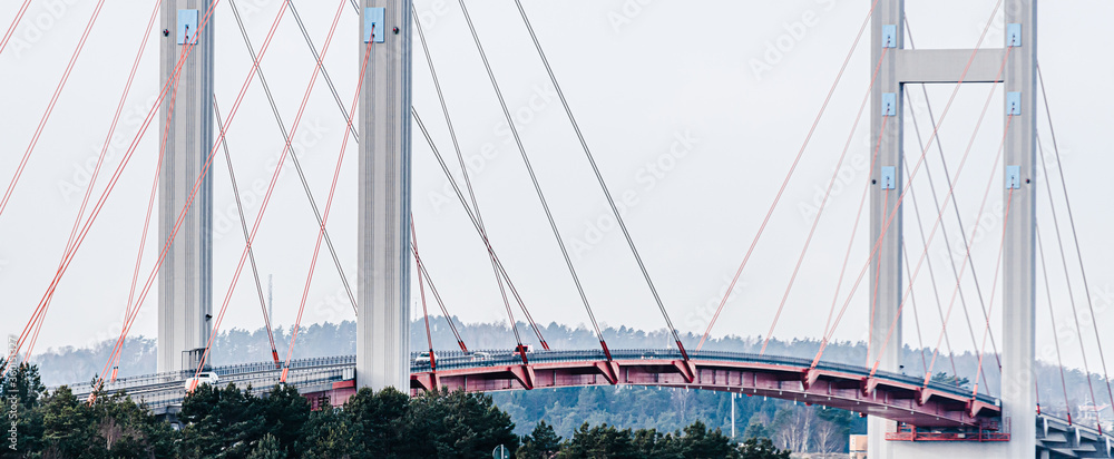 Obraz premium A red and grey cable-stayed bridge.