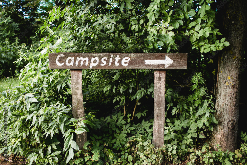 Campsite wooden sign. Tourist outdoor destination arrow. Forest direction information. Summer camp in green park.