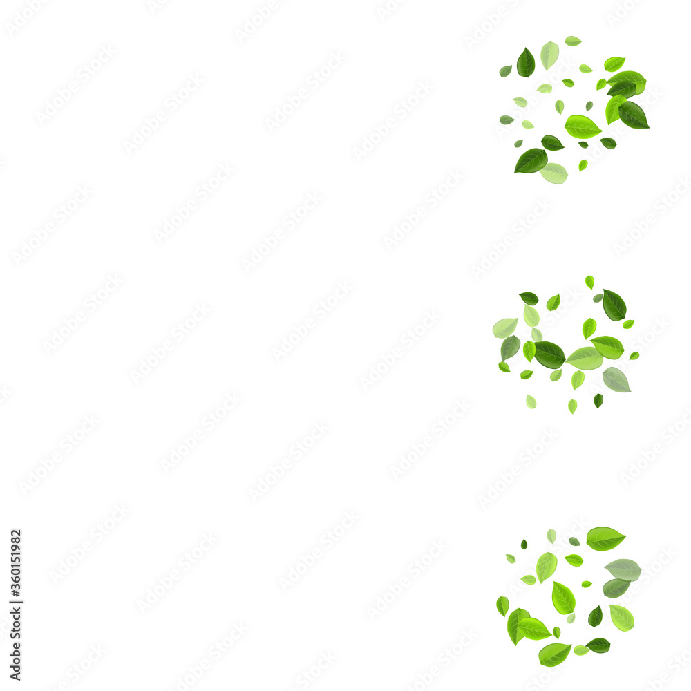 Grassy Leaves Herbal Vector Backdrop. Swirl Grassy Leaves Herbal Vector Backdrop. Swirl