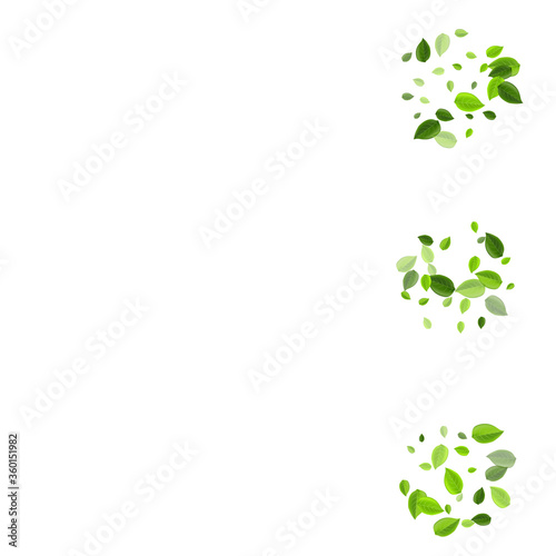 Grassy Leaves Herbal Vector Backdrop. Swirl 