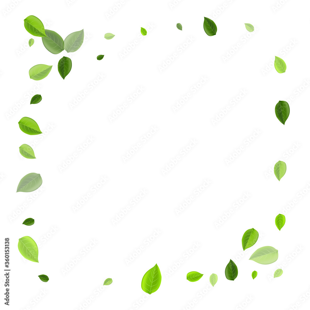 Grassy Foliage Flying Vector Concept. Wind Leaves Grassy Foliage Flying Vector Concept. Wind Leaves