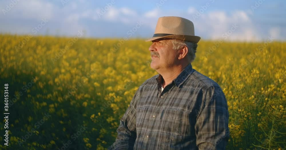 An elderly farmer in a hat stands at sunset and looks into the distance. The concept of a successful working day. Tractor driver in a field of yellow flowers