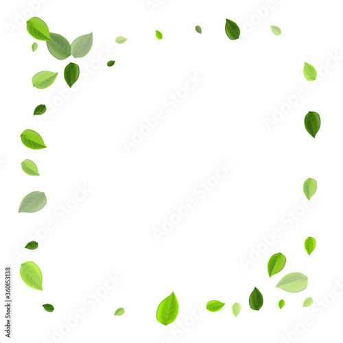 Grassy Foliage Flying Vector Concept. Wind Leaves 