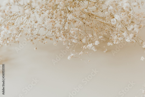 Принти на полотні Closeup of gypsophila flowers bouquet on neutral beige background