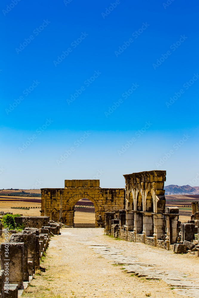 roman ruins in volubilis, morocco