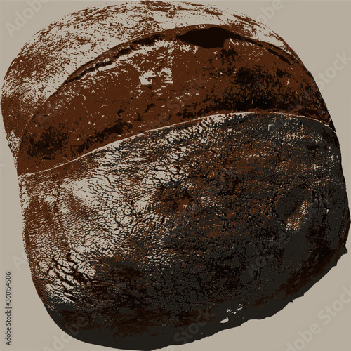 Freshly baked round bread made from whole wheat white wheat flour

