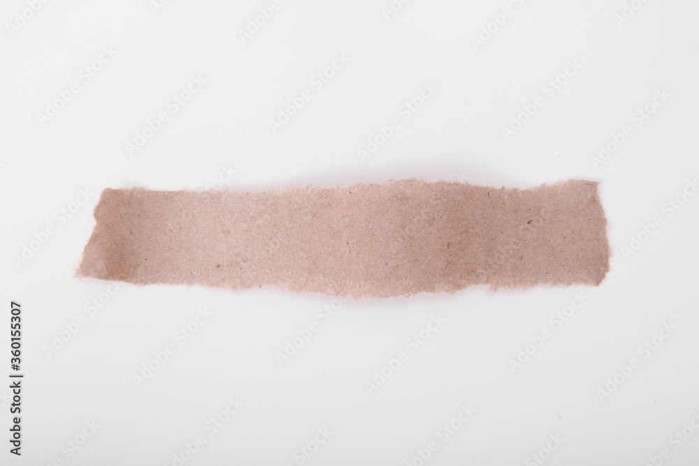Obraz premium Torn, ripped piece of craft paper on white background, frame for website