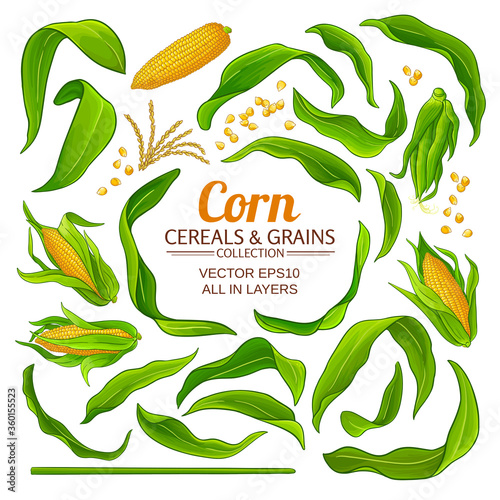corn elements set