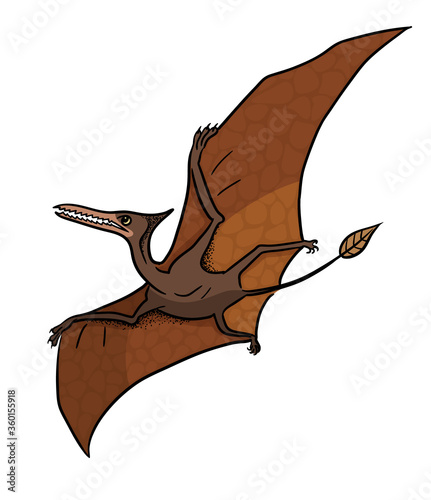 Pteranodon pterosaur dinosaur vector illustration in cartoon style.