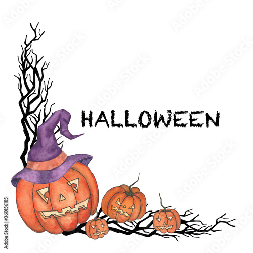halloween background with pumpkins and a hat on the white background