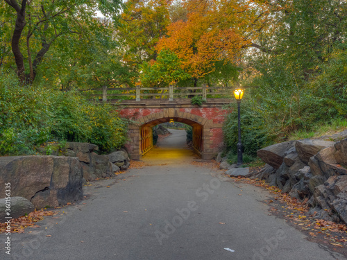 Autumn in Central Park photo