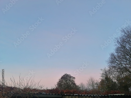 fence and sky