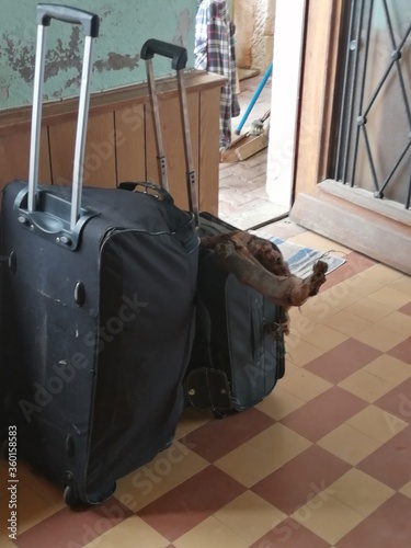 man with suitcase