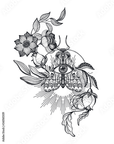 Vector illustration of black and white moth, flowers, branches, isolated on white background